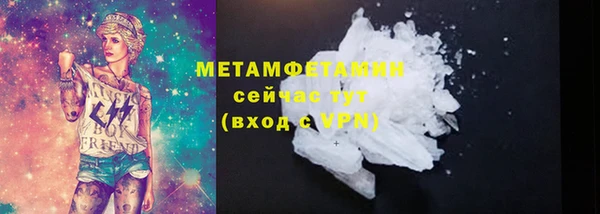 прущие грибы Горнозаводск