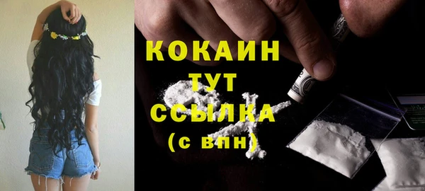 дурь Горняк