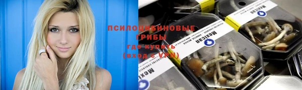 прущие грибы Горнозаводск