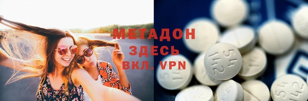 прущие грибы Горнозаводск