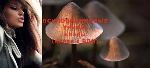 бошки Горно-Алтайск