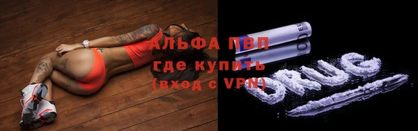 прущие грибы Горнозаводск
