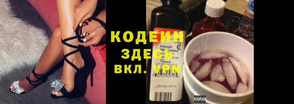 дурь Горняк