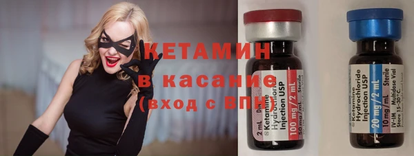 прущие грибы Горнозаводск
