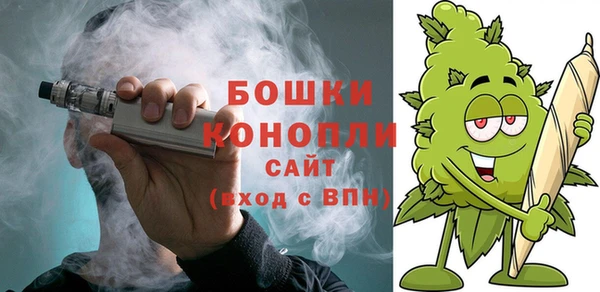дурь Горняк