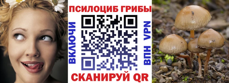 Псилоцибиновые грибы Cubensis  Северская 